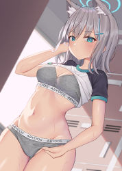 Rule 34 | 1girl, absurdres, animal ear fluff, blue archive, blue eyes, bra, clothes lift, cross hair ornament, grey bra, grey hair, grey panties, hair ornament, halo, highres, looking at viewer, moriyama a, navel, panties, shiroko (blue archive), shirt lift, short sleeves, solo, stomach, sweat, text print, underwear, wet