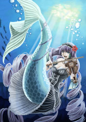 Rule 34 | 1girl, bare shoulders, blue eyes, breasts, bubble, cleavage, clenched hand, dress, fish, flower, hair flower, hair ornament, hairband, instrument, kasahara hirohito, lolita hairband, long hair, medium breasts, mermaid, monster girl, music, open mouth, original, playing instrument, purple hair, ribbon, ringlets, scales, solo, tail, tail ornament, tail ribbon, teeth, underwater, very long hair, violin