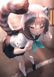 Rule 34 | 1girl, akuma (st.takuma), alternate costume, animal ear fluff, animal ears, bare arms, black hair, blurry, blurry background, brown eyes, claw pose, clothing cutout, common raccoon (kemono friends), fang, grey hair, hair between eyes, hands up, highres, kemono friends, leaning forward, medium hair, miniskirt, multicolored hair, neckerchief, outdoors, parted lips, pleated skirt, raccoon ears, raccoon girl, raccoon tail, sailor collar, school uniform, serafuku, shirt, shoes, short sleeves, skin fang, skirt, socks, solo, standing, striped tail, tail, tail through clothes, tsurime