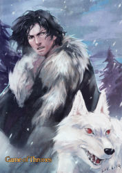 Rule 34 | 10s, 1boy, 2011, a song of ice and fire, black hair, breath, ghost (a song of ice and fire), jon snow, male focus, snow, wolf, yunvshen