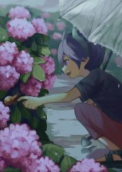 Rule 34 | 1boy, black shirt, blue hair, child, demon boy, demon tail, flower, great kichi, highres, holding, holding umbrella, horns, index finger raised, leaf, open mouth, outdoors, pants, pink flower, pointy ears, pop-up story, puddle, purple eyes, rain, red pants, sandals, shirt, short sleeves, snail, solo, squatting, t-shirt, tail, transparent, transparent umbrella, umbrella, water drop, wrist extended, ziz glover