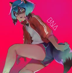 Rule 34 | 1girl, animal ears, blue hair, blue shorts, body fur, brand new animal, chromatic aberration, english text, fang, feet out of frame, furry, furry female, hair between eyes, highres, jacket, kagemori michiru, looking at viewer, multicolored eyes, open mouth, pink background, raccoon ears, raccoon girl, raccoon tail, red jacket, shirt, short hair, shorts, simple background, solo, tail, teeth, tomatomato514, tongue, white shirt