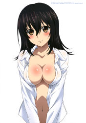 Rule 34 | 10s, 1girl, 2018, absurdres, black hair, blush, breasts, brown eyes, cleavage, collarbone, copyright name, dress shirt, hair between eyes, head tilt, highres, himeragi yukina, long hair, looking at viewer, medium breasts, naked shirt, navel, official art, open clothes, open shirt, shiny skin, shirt, simple background, smile, solo, strike the blood, topless, upper body, white background, white shirt