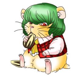 Rule 34 | animal, animal ears, animalization, ascot, clothed animal, eating, full body, green hair, hamster, hamster ears, kazami yuuka, locomon (artist), long sleeves, lowres, no humans, plaid, plaid vest, red eyes, seed, short hair, sitting, sunflower seed, touhou, transparent background, vest, whiskers, white background