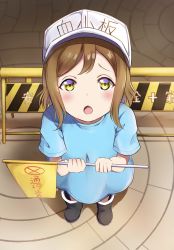 Rule 34 | 10s, 1girl, aged down, bad id, bad twitter id, black footwear, blue shirt, boots, brown hair, clothes writing, cosplay, flag, flat cap, foreshortening, from above, grey hat, hat, hataraku saibou, holding, holding flag, kunikida hanamaru, look-alike, looking at viewer, love live!, love live! sunshine!!, mia (fai1510), platelet (hataraku saibou), platelet (hataraku saibou) (cosplay), shirt, short sleeves, solo, standing, white hat, yellow eyes