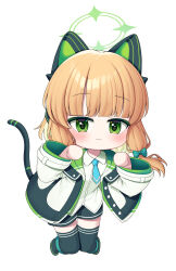Rule 34 | 1girl, :3, :d, absurdres, animal ear headphones, animal ears, black shorts, black thighhighs, blue archive, blue necktie, blunt bangs, cat ear headphones, cat tail, chibi, coat, collared shirt, commentary, fake animal ears, fake tail, full body, green eyes, hair ribbon, halo, headphones, highres, knees together feet apart, long sleeves, looking at viewer, metaljelly, midori (blue archive), necktie, open clothes, open coat, open mouth, orange hair, parted bangs, paw pose, ribbon, school uniform, shirt, short hair, shorts, sidelocks, simple background, smile, solo, suspenders, tail, thighhighs, tress ribbon, white background, white coat, white shirt, zettai ryouiki