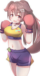 Rule 34 | 1girl, :d, absurdres, animal ears, bare shoulders, blush, bone hair ornament, boxing gloves, breasts, brown eyes, brown hair, cartoon bone, character name, cleavage, clothes writing, commentary request, dog ears, dog girl, dog tail, fang, hair ornament, hands up, highres, hololive, inugami korone, long hair, looking at viewer, medium breasts, navel, open mouth, ponytail, purple shorts, short shorts, shorts, simple background, smile, solo, tail, umberblack, v-shaped eyebrows, very long hair, virtual youtuber, white background