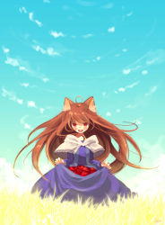 Rule 34 | 00s, animal ears, apple, brown hair, domotolain, dress, food, fruit, holo, long hair, red eyes, skirt, skirt basket, smile, solo, spice and wolf, tail, wheat, wolf ears