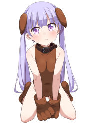 Rule 34 | 1girl, 3:, absurdres, animal ears, animal hands, bare shoulders, blush, breasts, brown collar, brown footwear, brown gloves, brown leotard, closed mouth, collar, commentary request, covered navel, dog ears, full body, gloves, highres, leotard, light purple hair, long hair, looking at viewer, mousou (mousou temporary), new game!, paw gloves, paw shoes, purple eyes, shoes, simple background, sitting, small breasts, solo, suzukaze aoba, sweatdrop, twintails, wariza, white background