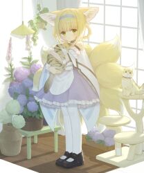 Rule 34 | 1girl, absurdres, animal, animal ear fluff, animal ears, arknights, bare shoulders, black collar, black footwear, blonde hair, blue hairband, braid, cat, closed mouth, clothing cutout, collar, dress, flower, fox ears, fox girl, fox tail, full body, green eyes, hairband, highres, holding, holding animal, holding cat, ichu (iichuu), indoors, infection monitor (arknights), kitsune, kyuubi, lily of the valley, looking at viewer, mary janes, medium dress, multiple tails, pantyhose, purple dress, shoes, short hair, shoulder cutout, solo, standing, suzuran (arknights), tail, twin braids, white pantyhose
