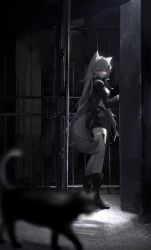 1girl animal_ears arknights black_cat black_footwear black_jacket black_shorts boots cat full_body grey_eyes grey_hair hair_between_eyes hair_ornament hairclip high_heel_boots high_heels highres indoors jacket kuuus lappland_(arknights) long_hair looking_at_viewer material_growth motion_blur oripathy_lesion_(arknights) shorts solo tail wolf_ears wolf_girl wolf_tail