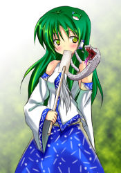 Rule 34 | 1girl, blush, female focus, gradient background, green eyes, green hair, japanese clothes, kochiya sanae, miko, snake, solo, standing, touhou, tsujigiri