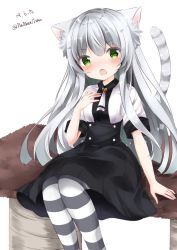 Rule 34 | 1girl, :o, animal ear fluff, animal ears, bad id, bad pixiv id, black skirt, blush, breasts, cat ears, cat girl, cat tail, copyright request, dated, fang, green eyes, hand up, head tilt, long hair, looking at viewer, medium breasts, nanase nao, open mouth, pantyhose, pleated skirt, shirt, short sleeves, silver hair, simple background, sitting, skirt, solo, striped clothes, striped pantyhose, striped tail, tail, tail raised, twitter username, very long hair, white background, white shirt