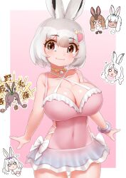 Rule 34 | !, !!, ..., 6+girls, :3, :c, :q, alternate breast size, animal ears, arctic hare (kemono friends), bikini, bikini skirt, border, bow, breasts, brown eyes, brown hair, chibi, choker, cleavage, closed eyes, closed mouth, collarbone, covered navel, cowboy shot, dark-skinned female, dark skin, european hare (kemono friends), ezo mountain hare (kemono friends), feeding, food, grey hair, hair between eyes, hair ornament, hair over one eye, hairband, heart, heart hair ornament, highres, holding, holding food, holding notebook, holding pen, japanese hare (kemono friends), kemono friends, kemono friends 3, large breasts, licking, long hair, looking at another, looking at viewer, medium hair, mountain hare (kemono friends), multicolored hair, multiple girls, notebook, o o, official alternate costume, one-piece swimsuit, outside border, outstretched arms, outstretched hand, own hands together, palms together, parted bangs, pen, praying, rabbit ears, rabbit girl, rabbit tail, scrunchie, smile, solo focus, spoken ellipsis, strap gap, swimsuit, tail, taking notes, tongue, tongue out, tsukuyomi shinshi (kemono friends), two-tone hair, white border, white hair, wrist scrunchie, yonkuron