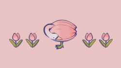 Rule 34 | animal focus, bird, duck, flower, highres, meyoco, no humans, original, pink background, pink flower, pink tulip, simple background, surreal, tulip, wide shot