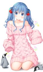 Rule 34 | 1girl, :o, animal, aran sweater, bad id, bad pixiv id, bare shoulders, bird, blue eyes, blue hair, blush, cable knit, cherry hair ornament, collarbone, crescent, cube hair ornament, dress, food-themed hair ornament, full body, hair ornament, long sleeves, looking at viewer, murano, off-shoulder sweater, off shoulder, original, parted lips, penguin, pink sweater, seiza, sitting, sleeves past fingers, sleeves past wrists, solo, star (symbol), sweater, sweater dress, twintails, white background