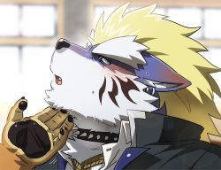 Rule 34 | 2boys, animal ears, animal hands, bara, blonde hair, blue fur, blush, collar, fang, fenrir (housamo), fluffy, from side, furry, furry male, furry with furry, gakuran, male focus, mohawk, multiple boys, muscular, muscular male, petting, rope, rossciaco, school uniform, solo focus, spiked collar, spikes, thick eyebrows, tokyo houkago summoners, two-tone fur, white fur, wolf boy, wolf ears, yaoi
