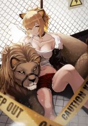 Rule 34 | 1girl, absurdres, ahoge, animal, animal ears, anizi, arknights, bare legs, black choker, black jacket, blurry, breasts, breath, brown hair, caution tape, chain-link fence, choker, cleavage, collarbone, crop top, cutoffs, depth of field, fence, fur trim, highres, jacket, knee up, large breasts, lion, lion ears, long hair, looking at viewer, midriff, mouth hold, navel, open clothes, open jacket, parted lips, ponytail, red shorts, shirt, short shorts, shorts, siege (arknights), sitting, sleeveless, sleeveless shirt, solo, spaghetti strap, stomach, strap slip, white shirt, yellow eyes