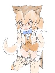 Rule 34 | 1girl, absurdres, animal ears, brown eyes, brown hair, cleft of venus, clothes pull, dingo (kemono friends), fang, highres, kemono friends, leg up, panties, pants, pants pull, panty pull, peeing, peeing self, pussy, solo, tail, uncensored, underwear, undressing, white background, y-san (yoshino yuuri)