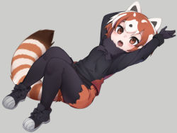 Rule 34 | 1girl, animal ears, arms up, black bow, black footwear, black gloves, black pantyhose, blush, bow, brown eyes, eyebrows, fangs, fur collar, gloves, grey background, kemono friends, kemono friends 2, lesser panda (kemono friends), long sleeves, looking at viewer, multicolored hair, nyifu, open mouth, orange hair, pantyhose, red panda ears, red panda tail, shoes, short hair, shorts, simple background, sneakers, solo, tail, teeth, tongue, white hair