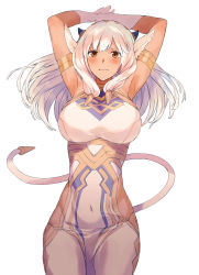 Rule 34 | 1girl, animal ears, armlet, armpits, arms up, ash (fire emblem), black horns, blush, breasts, brown eyes, closed mouth, commentary request, covered navel, cow ears, cow girl, cow horns, cow tail, dark-skinned female, dark skin, dress, fire emblem, fire emblem heroes, gloves, hair between eyes, highres, horns, iwasinogomaae, large breasts, long hair, looking at viewer, nintendo, pelvic curtain, simple background, sleeveless, sleeveless dress, solo, sweatdrop, tail, white background, white dress, white gloves, white hair