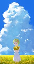 Rule 34 | 1girl, absurdres, closed mouth, cloud, commentary request, creatures (company), crossed arms, day, dress, en (pixiv 2028674), eyelashes, field, flower, flower field, game freak, gen 4 pokemon, green eyes, green hair, hair flower, hair ornament, hairclip, highres, holding, holding flower, legendary pokemon, mythical pokemon, nintendo, outdoors, personification, pokemon, shaymin, short hair, sky, smile, standing, white dress
