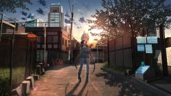 Rule 34 | 1girl, absurdres, anyotete, building, city, cloud, facing back, fence, grass, highres, huge filesize, lamppost, looking at viewer, original, road, scenery, sky, skyscraper, solo, standing, street, sunset, traffic cone, tree, utility pole
