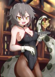 Rule 34 | 1girl, alternate costume, animal ears, bare shoulders, black leotard, blush, bow, choker, cocktail glass, commentary request, cup, drinking glass, fake animal ears, fangs, fzr332211, glove cuffs, gloves, green eyes, grey hair, hair tie, highleg, highleg leotard, highres, kemono friends, leotard, lime (fruit), lime slice, multicolored eyes, okinawa habu (kemono friends), open mouth, pantyhose, play, playboy bunny, print neckwear, rabbit ears, red bow, short hair, sleeveless, snake print, snake tail, solo, tail, tray, white gloves, yellow eyes
