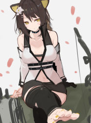 Rule 34 | 1girl, animal ears, arknights, asususususu, bare shoulders, black pants, black thighhighs, bow (weapon), breasts, brown hair, commentary request, detached sleeves, feet, flower, folinic (arknights), folinic (lasting arrowroot) (arknights), foot focus, hair flower, hair ornament, highres, long hair, medium breasts, midriff, mongoose ears, nail polish, navel, official alternate costume, pants, ponytail, sitting, solo, thighhighs, toeless legwear, toenail polish, toenails, torn clothes, torn thighhighs, upper body, weapon, white flower, yellow eyes, yellow nails