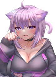 Rule 34 | 1girl, ahoge, animal ears, black choker, black jacket, blush, breasts, cat ears, cat tail, choker, cleavage, collarbone, deaver, fang, hand up, highres, hololive, jacket, large breasts, long sleeves, looking at viewer, nekomata okayu, nekomata okayu (1st costume), open mouth, paw pose, purple eyes, purple hair, short hair, simple background, smile, solo, tail, upper body, virtual youtuber, white background