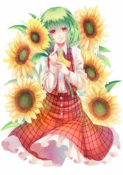 Rule 34 | 1girl, ascot, flower, green hair, kazami yuuka, ling (vivianling), long sleeves, looking at viewer, open clothes, open vest, plaid, plaid skirt, plaid vest, red eyes, shirt, skirt, skirt set, smile, solo, sunflower, touhou, vest
