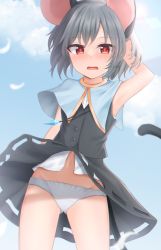 Rule 34 | 1girl, animal ears, blue capelet, capelet, dakuazu, dress, grey dress, grey hair, hand in own hair, highres, jewelry, looking at viewer, mouse ears, mouse girl, mouse tail, navel, nazrin, open mouth, panties, pendant, red eyes, short hair, solo, tail, touhou, underwear, white panties