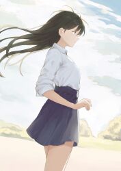 Rule 34 | 1girl, bare legs, black hair, blue eyes, blue skirt, breasts, closed mouth, cloud, cloudy sky, collared shirt, commentary, cowboy shot, day, from side, herfstijl, highres, long hair, looking afar, medium breasts, original, outdoors, pleated skirt, shirt, shirt tucked in, skirt, sky, sleeves past elbows, solo, white shirt