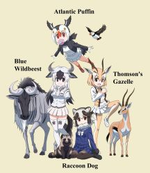 Rule 34 | 4girls, animal collar, animal ears, ascot, atlantic puffin (kemono friends), beige background, bird, black eyes, black footwear, black hair, black jacket, black legwear, black scarf, blonde hair, blouse, blue shirt, blue wildebeest (kemono friends), bob cut, bow, bowtie, brown eyes, character name, closed mouth, collar, collared shirt, commentary request, deer ears, deer tail, english text, extra ears, flying, fur-trimmed sleeves, fur collar, fur trim, gazelle, head wings, highres, horns, jacket, japari symbol, kemono friends, kemono friends 2, leg up, long hair, long sleeves, looking at viewer, miniskirt, mouth hold, multicolored hair, multiple girls, name connection, open mouth, ox ears, ox horns, pantyhose, pleated skirt, puffin, raccoon ears, red eyes, red footwear, red hair, red legwear, scarf, school uniform, scrunchie, serafuku, shirt, shoes, short hair, short sleeves, simple background, sitting, skirt, smile, socks, standing, standing on one leg, sweater, tail, tanuki, tanuki (kemono friends), thighhighs, thomson&#039;s gazelle (kemono friends), two-tone hair, v-neck, wariza, white hair, white neckwear, white scrunchie, white shirt, white skirt, white sweater, wildebeest, wings, yamaguchi yoshimi, yellow background, yellow legwear, yellow neckwear