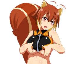 Rule 34 | 1girl, :d, animal ears, antenna hair, bad id, bad pixiv id, bare shoulders, blazblue, blush, breasts, brown hair, crop top, large breasts, looking at viewer, makoto nanaya, marupuni, multicolored hair, no gloves, no panties, open mouth, red eyes, short hair, smile, solo, squirrel ears, squirrel tail, tail, two-tone hair, underboob, upper body, white background