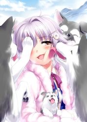 Rule 34 | 1girl, animal, blush, bow, bowtie, brown eyes, coat, commentary request, dog, hair ornament, hairclip, husky, idolmaster, idolmaster cinderella girls, koshimizu sachiko, licking, licking another&#039;s cheek, licking another&#039;s face, light purple hair, open mouth, puppy, short hair, solo, upper body, winter clothes, winter coat, zen