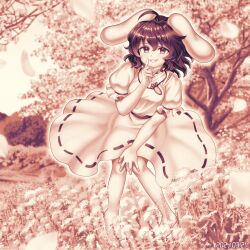 Rule 34 | 1girl, animal ears, barefoot, carrot necklace, commentary request, dress, floppy ears, full body, greyscale, inaba tewi, jewelry, looking at viewer, monochrome, necklace, nokimenayu, outdoors, rabbit ears, rabbit girl, ribbon-trimmed dress, short hair, short sleeves, smile, solo, touhou