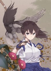 Rule 34 | 10s, 1girl, bird, bow (weapon), brown eyes, brown hair, flower, gloves, gradient background, hair between eyes, hawk, highres, japanese clothes, kaga (kancolle), kantai collection, long hair, mku, side ponytail, solo, weapon