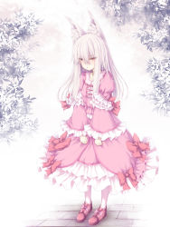 Rule 34 | 1girl, :t, animal ear fluff, animal ears, blush, bow, closed mouth, dress, fox ears, frilled dress, frills, full body, grey hair, hair between eyes, highres, juliet sleeves, long hair, long sleeves, looking away, original, pantyhose, pink dress, pout, puffy sleeves, red bow, red eyes, red footwear, sasasa (nashi), shoes, solo, standing, very long hair, white pantyhose, wide sleeves