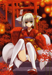 Rule 34 | 1girl, absurdres, animal ears, closed mouth, dot mouth, flower, fox ears, fox tail, geta, hair intakes, hair ornament, highres, japanese clothes, kimono, multiple tails, nail polish, obi, panties, pantyshot, red nails, sash, scan, sitting, sitting on stairs, skirt, solo, spider lily, stairs, suzuhira hiro, tabi, tail, thighhighs, torii, underwear, upskirt, white hair, white panties, white thighhighs, yellow eyes