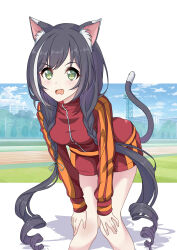 Rule 34 | 1girl, animal ear fluff, animal ears, black hair, blue sky, braid, breasts, cat ears, cat girl, cat tail, cloud, fang, green eyes, hair ribbon, hands on own knees, highres, jacket, karyl (princess connect!), long hair, looking at viewer, maxwelzy, multicolored hair, open mouth, outdoors, princess connect!, red jacket, red shorts, ribbon, shadow, shorts, sky, solo, streaked hair, tail, tail raised, track and field, track jacket, twin braids, twintails, very long hair, white hair