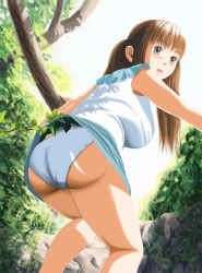 Rule 34 | 1girl, ass, bent over, blouse, blue panties, blush, brown hair, clothes lift, day, long hair, miniskirt, outdoors, panties, pantyshot, shirt, skirt, skirt lift, sleeveless, solo, source request, squatting, twintails, underwear