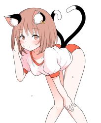 Rule 34 | 1girl, :o, animal ear fluff, animal ears, bent over, blush, breasts, brown eyes, brown hair, buruma, cat ears, cat tail, chen, collarbone, commentary request, feet out of frame, hand up, knees together feet apart, looking at viewer, multiple tails, nekomata, no headwear, no headwear, red buruma, shiisuu rattamu, shirt, short hair, simple background, small breasts, solo, standing, sweat, tail, touhou, two tails, white background, white shirt
