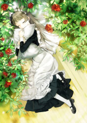 Rule 34 | 1girl, apron, black dress, black footwear, brown hair, camellia, choppy bangs, closed eyes, closed mouth, dress, flower, from above, highres, hugging object, jidou neko, juliet sleeves, long dress, long hair, long sleeves, lying, maid, maid apron, maid headdress, mary janes, on floor, on side, original, pantyhose, pillow, pillow hug, plant, puffy sleeves, red flower, shoes, sleeping, sleeve cuffs, solo, white apron, white pantyhose, wooden floor