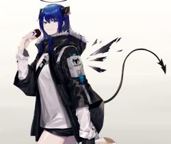 Rule 34 | 1girl, absurdres, arknights, black jacket, black shorts, blue eyes, blue hair, closed mouth, commentary request, curled horns, detached wings, doughnut, food, fur-trimmed hood, fur trim, gradient background, grey background, hair between eyes, halo, hand up, highres, holding, holding food, hood, hood down, hooded jacket, horns, jacket, kurogiri, long hair, long sleeves, looking at viewer, mostima (arknights), open clothes, open jacket, pastry box, shirt, short shorts, shorts, smile, solo, tail, white shirt, wings