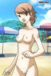 Rule 34 | 1girl, absurdres, arm at side, armpits, artist name, beach, beach umbrella, breasts, brown eyes, brown hair, cleft of venus, clenched hands, clenched teeth, collarbone, completely nude, day, eyelashes, female focus, groin, hand up, happy, highres, japanese text, legs, looking at viewer, matching hair/eyes, medium breasts, medium hair, mountain, nature, navel, neck, nilterguy, nipples, nude, nude filter, official art nude filter, outdoors, persona, persona 3, public indecency, public nudity, pussy, sidelocks, sky, smile, standing, summer, swept bangs, takeba yukari, teeth, thighs, third-party edit, umbrella, unworn clothes