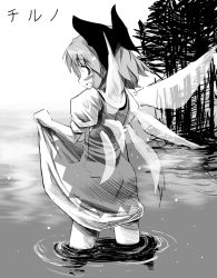 Rule 34 | 1girl, cirno, clothes lift, dress, dress lift, embodiment of scarlet devil, female focus, from behind, greyscale, monochrome, skirt, skirt lift, solo, takahero, touhou, wading, water, wings