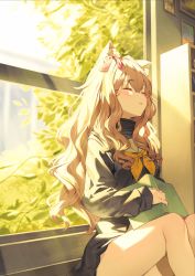 Rule 34 | 1girl, against window, animal ear fluff, animal ears, bare legs, black dress, blush, book, bow, brown hair, cat ears, cat girl, closed eyes, commentary request, day, dress, feet out of frame, hair bow, highres, indoors, light rays, long hair, long sleeves, neckerchief, nyum, open book, orange neckerchief, original, parted lips, pink bow, sitting, solo, sunbeam, sunlight, very long hair, wavy hair