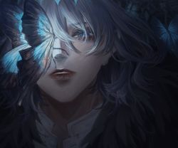 Rule 34 | 1boy, arthropod boy, blue butterfly, blue eyes, bug, butterfly, butterfly on nose, cape, crown, diamond hairband, fate/grand order, fate (series), fur-trimmed cape, fur trim, grey hair, highres, insect, long hair, looking at viewer, male focus, me-me, oberon (fate), oberon (third ascension) (fate), portrait, shirt, solo, spoilers, white shirt