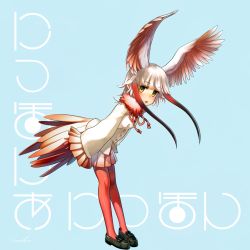 Rule 34 | 10s, 1girl, arms at sides, bird tail, black footwear, blue background, blunt bangs, brown hair, commentary request, feathered wings, flower, frilled sleeves, frills, fur collar, gloves, head wings, highres, japanese crested ibis (kemono friends), kemono friends, leaning forward, long hair, long sleeves, looking at viewer, open mouth, pantyhose, pleated skirt, red gloves, red hair, red pantyhose, red skirt, shoes, sidelocks, signature, simple background, skirt, solo, tail, translation request, welt (kinsei koutenkyoku), white hair, wide sleeves, wings, yellow eyes